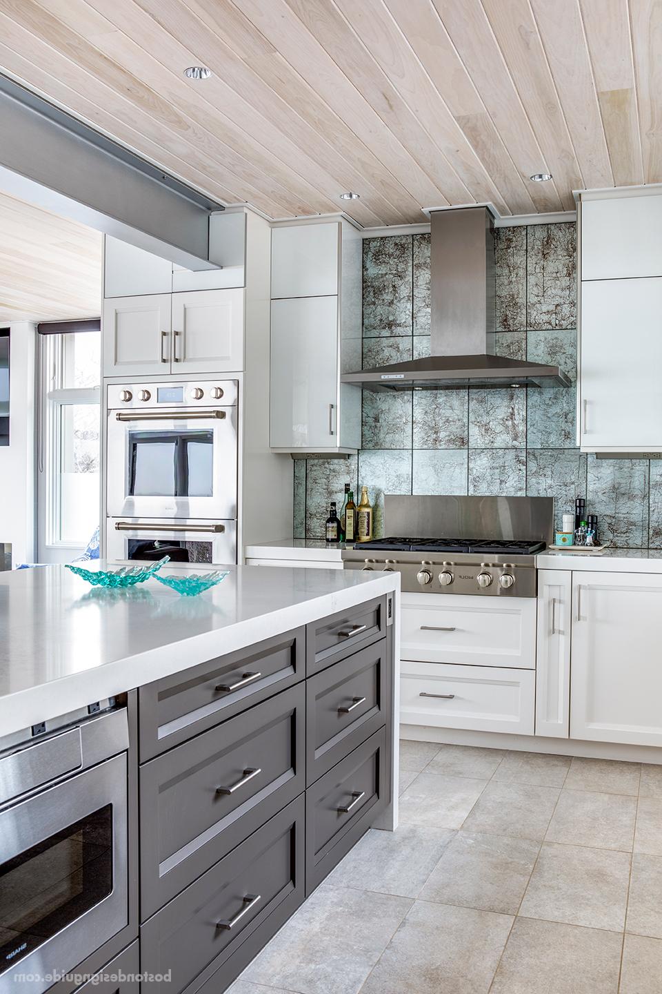 Contemporary glass kitchen